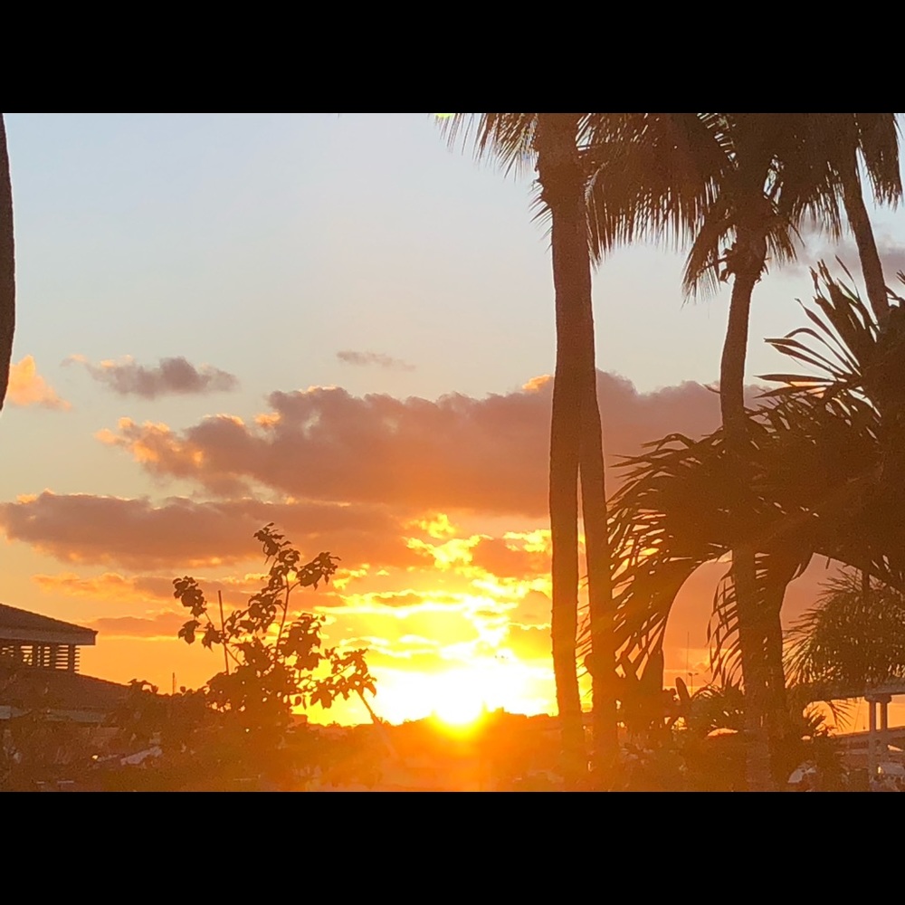 Meet your Posher, May